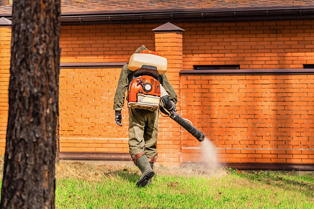 Trusted Termite Control service in Valatie, NY - Nex Pest Control